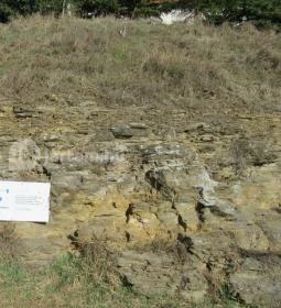 Borsodi református templom