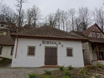 Avasi Bortanya Miskolc