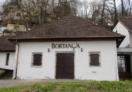 Avasi Bortanya Miskolc