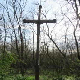 Borzaspusztai kápolnarom, Bugyi - Egyéb