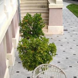 BOTANIQ Turai Kastély Tura - Medence/kert