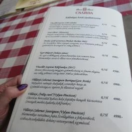 Bozi Rozi Csárda, Fertőboz - Étlap/itallap