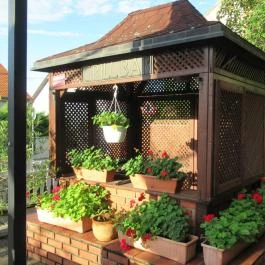 Bozi Rozi Csárda, Fertőboz - Egyéb