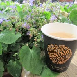 Bringó Büfé Budapest - Étel/ital