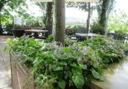 Bringó Büfé Budapest