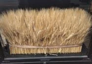 Brucker Pékség - Móricz Budapest