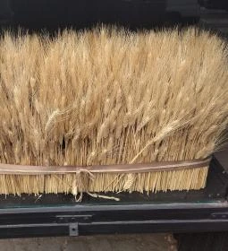 Brucker Pékség - Móricz