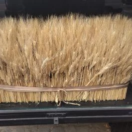 Brucker Pékség - Móricz Budapest - Egyéb