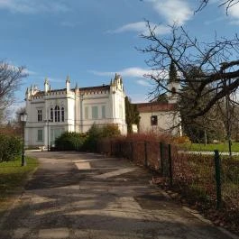 Brunszvik-kastély, Martonvásár - Egyéb