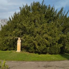 Brunszvik-kastély, Martonvásár - Egyéb