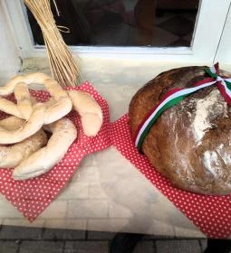 Buci Kuckó pékség