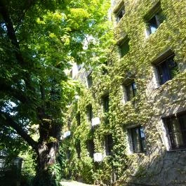 Budai Arborétum Budapest - Egyéb