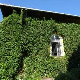 Budai Arborétum Budapest - Egyéb