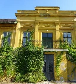 28. legjobb látnivaló: Budai Arborétum