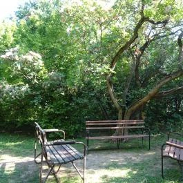 Budai Arborétum Budapest - Egyéb