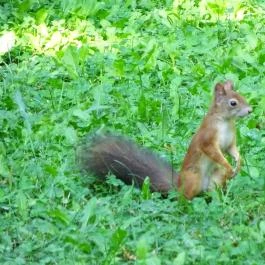 Budai Arborétum Budapest - Egyéb