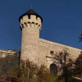Budai vár Budapest - Egyéb