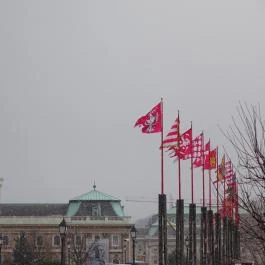 Budai vár Budapest - Egyéb