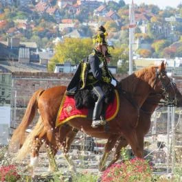 Budai vár Budapest - Egyéb