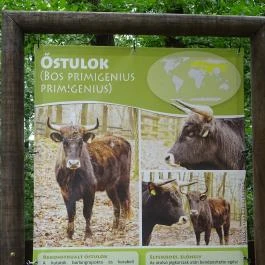 Budakeszi Vadaspark Budakeszi - Egyéb