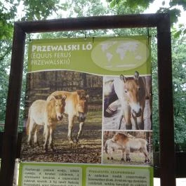 Budakeszi Vadaspark Budakeszi - Egyéb