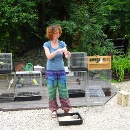 Budakeszi Vadaspark Budakeszi - Egyéb