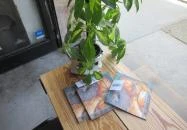 Budapest Bagel - Buda Budapest