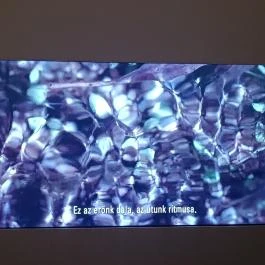 Budapest Galéria Budapest - Egyéb