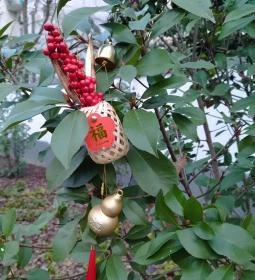 Budapesti Kínai Kulturális Központ