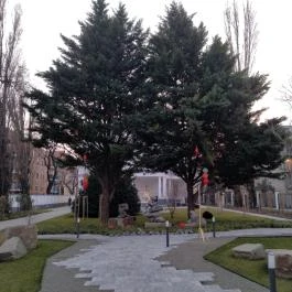 Budapesti Kínai Kulturális Központ, Budapest - Egyéb