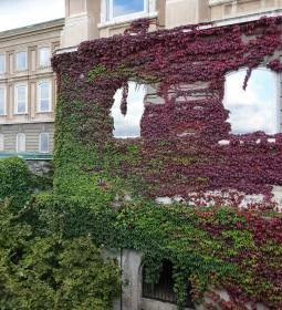 Budapesti Történeti Múzeum