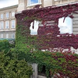 Budapesti Történeti Múzeum Budapest - Egyéb