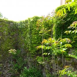 Budapesti Történeti Múzeum Budapest - Egyéb