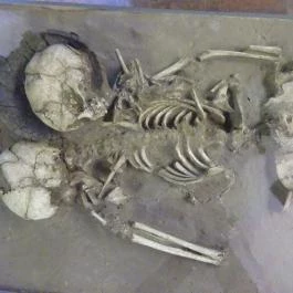 Budapesti Történeti Múzeum Budapest - Egyéb