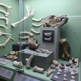 Budapesti Történeti Múzeum Budapest - Egyéb