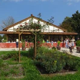 Aquincumi Múzeum és Régészeti Park Budapest - Egyéb