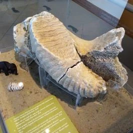 Aquincumi Múzeum és Régészeti Park Budapest - Egyéb