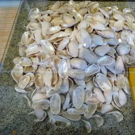 Aquincumi Múzeum és Régészeti Park Budapest - Egyéb