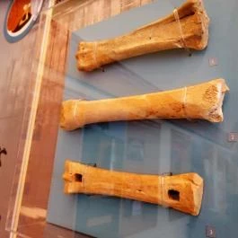 Aquincumi Múzeum és Régészeti Park Budapest - Egyéb