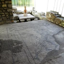 Aquincumi Múzeum és Régészeti Park Budapest - Egyéb