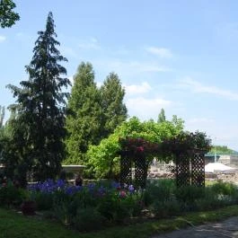 Aquincumi Múzeum és Régészeti Park Budapest - Egyéb