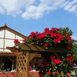 Aquincumi Múzeum és Régészeti Park Budapest - Egyéb