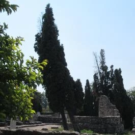 Aquincumi Múzeum és Régészeti Park Budapest - Egyéb