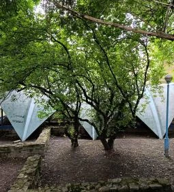 Budapesti Történeti Múzeum - Hercules Villa