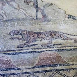 Budapesti Történeti Múzeum - Hercules Villa Budapest - Egyéb