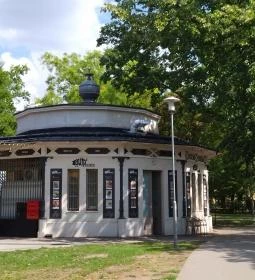 Buja Disznók - Liget