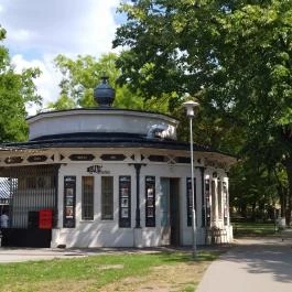 Buja Disznók - Liget Budapest - Egyéb