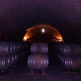 Bujdosó Pincészet Balatonszemes - Belső