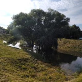 Bükkös-patak tanösvény, Szentendre - Egyéb