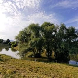 Bükkös-patak tanösvény, Szentendre - Egyéb